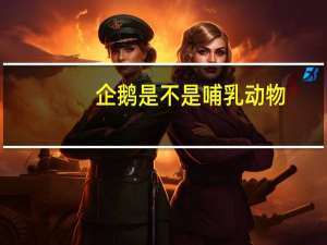 企鹅是不是哺乳动物