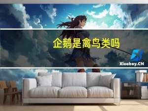 企鹅是禽鸟类吗