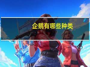 企鹅有哪些种类