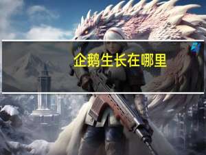 企鹅生长在哪里
