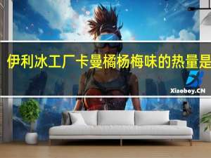 伊利 冰工厂卡曼橘杨梅味的热量是多少