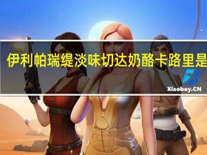 伊利 帕瑞缇淡味切达奶酪卡路里是多少