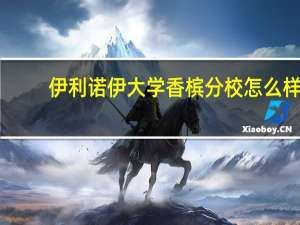 伊利诺伊大学香槟分校怎么样