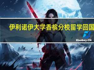 伊利诺伊大学香槟分校留学回国后，都可以去做哪些工作
