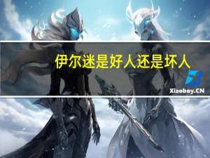 伊尔迷是好人还是坏人（伊尔迷）