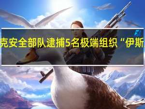 伊拉克安全部队逮捕5名极端组织“伊斯兰国”成员