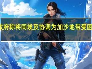 伊拉克政府称将同埃及协调为加沙地带受困民众提供援助