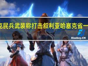 伊拉克民兵武装称打击叙利亚哈塞克省一处美军基地