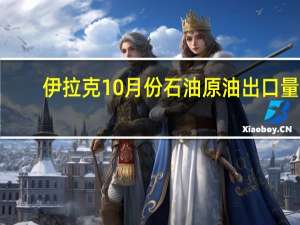 伊拉克10月份石油原油出口量1.0955亿桶 售价为每桶88.26美元/桶