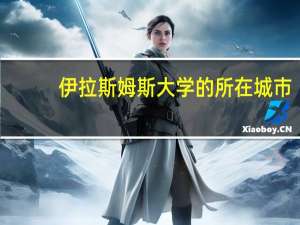 伊拉斯姆斯大学的所在城市