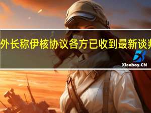 伊朗外长称伊核协议各方已收到最新谈判相关计划