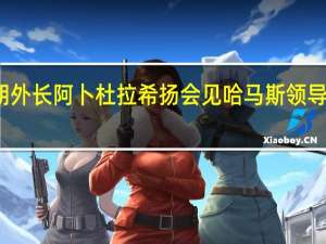 伊朗外长阿卜杜拉希扬会见哈马斯领导人哈尼亚