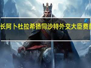 伊朗外长阿卜杜拉希扬同沙特外交大臣费萨尔举行会谈
