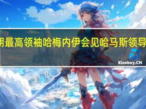 伊朗最高领袖哈梅内伊会见哈马斯领导人哈尼亚