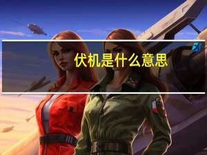 伏机是什么意思