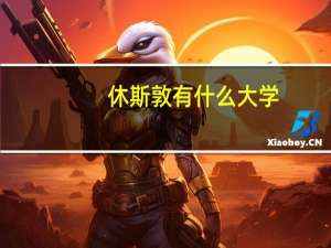 休斯敦有什么大学