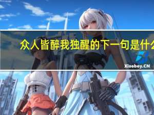众人皆醉我独醒的下一句是什么