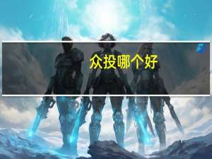 众投哪个好
