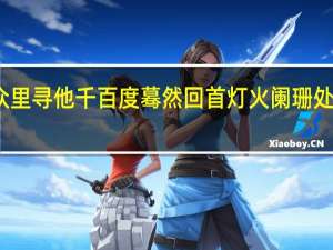 众里寻他千百度蓦然回首灯火阑珊处的意思（众里寻他千百度蓦然回首灯火阑珊处）
