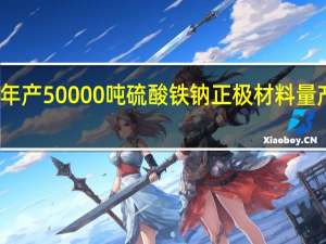 众钠能源年产50000吨硫酸铁钠正极材料量产基地一期投产