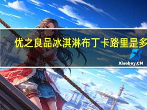 优之良品 冰淇淋布丁卡路里是多少