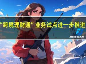 优化粤港澳大湾区“跨境理财通”业务试点 进一步推进大湾区金融市场互联互通