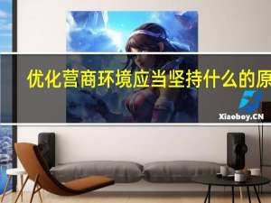 优化营商环境应当坚持什么的原则