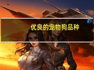 优良的宠物狗品种