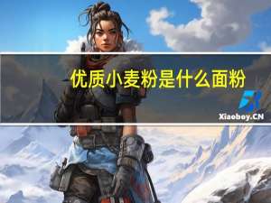 优质小麦粉是什么面粉