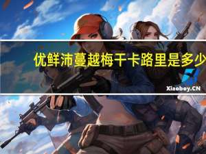 优鲜沛  蔓越梅干卡路里是多少