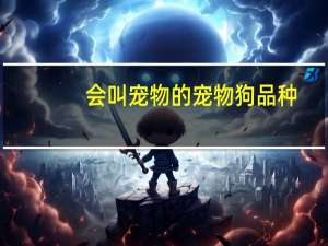 会叫宠物的宠物狗品种