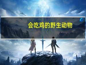 会吃鸡的野生动物