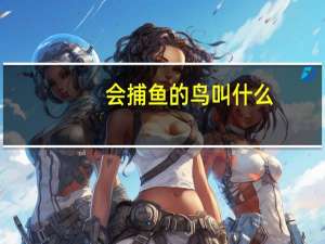 会捕鱼的鸟叫什么