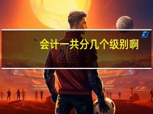 会计一共分几个级别啊