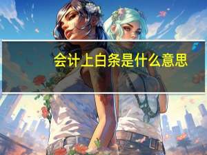 会计上白条是什么意思