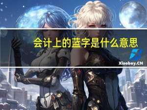 会计上的蓝字是什么意思