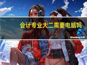 会计专业大二需要电脑吗