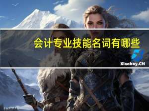 会计专业技能名词有哪些
