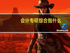 会计专硕综合指什么