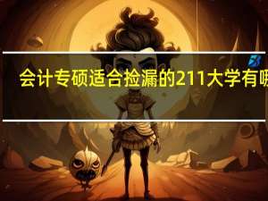会计专硕适合捡漏的211大学有哪些