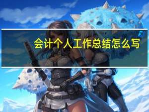 会计个人工作总结怎么写