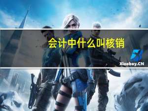 会计中 什么叫 核销