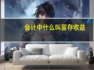 会计中什么叫留存收益