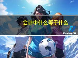 会计中什么等于什么