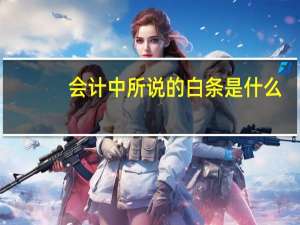 会计中所说的白条是什么