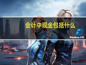 会计中现金包括什么
