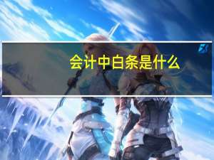 会计中 白条是什么