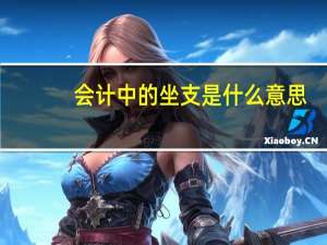 会计中的坐支是什么意思