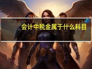 会计中税金属于什么科目