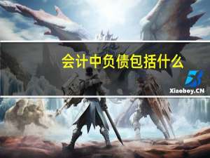 会计中负债包括什么
